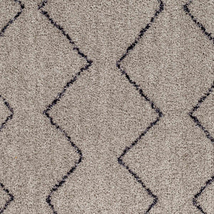 Amro Washable Area Rug - Clearance