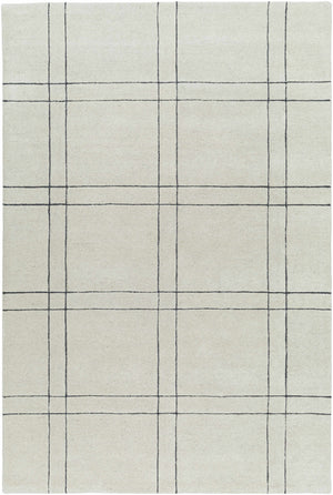 Sixto Beige Area Rug - Clearance