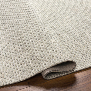 Light Brown Emlen Area Rug - Clearance