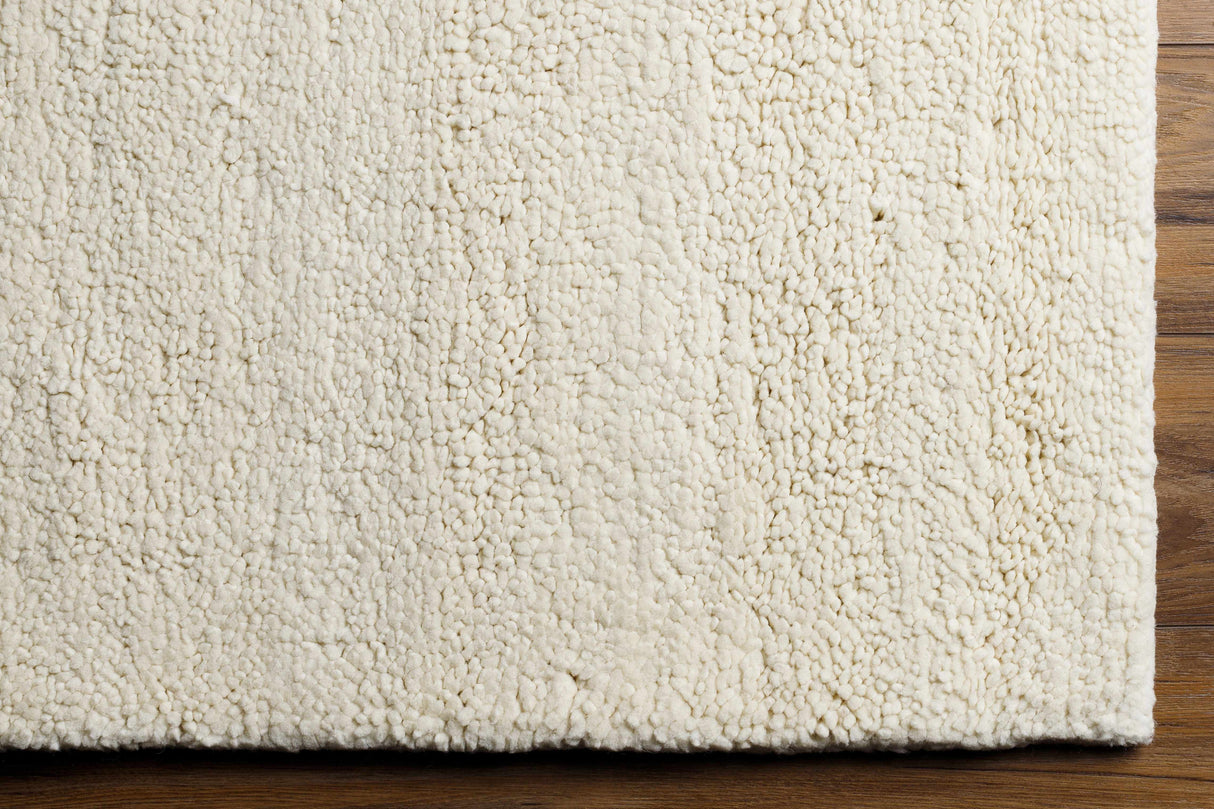 Atiya Area Rug - Clearance