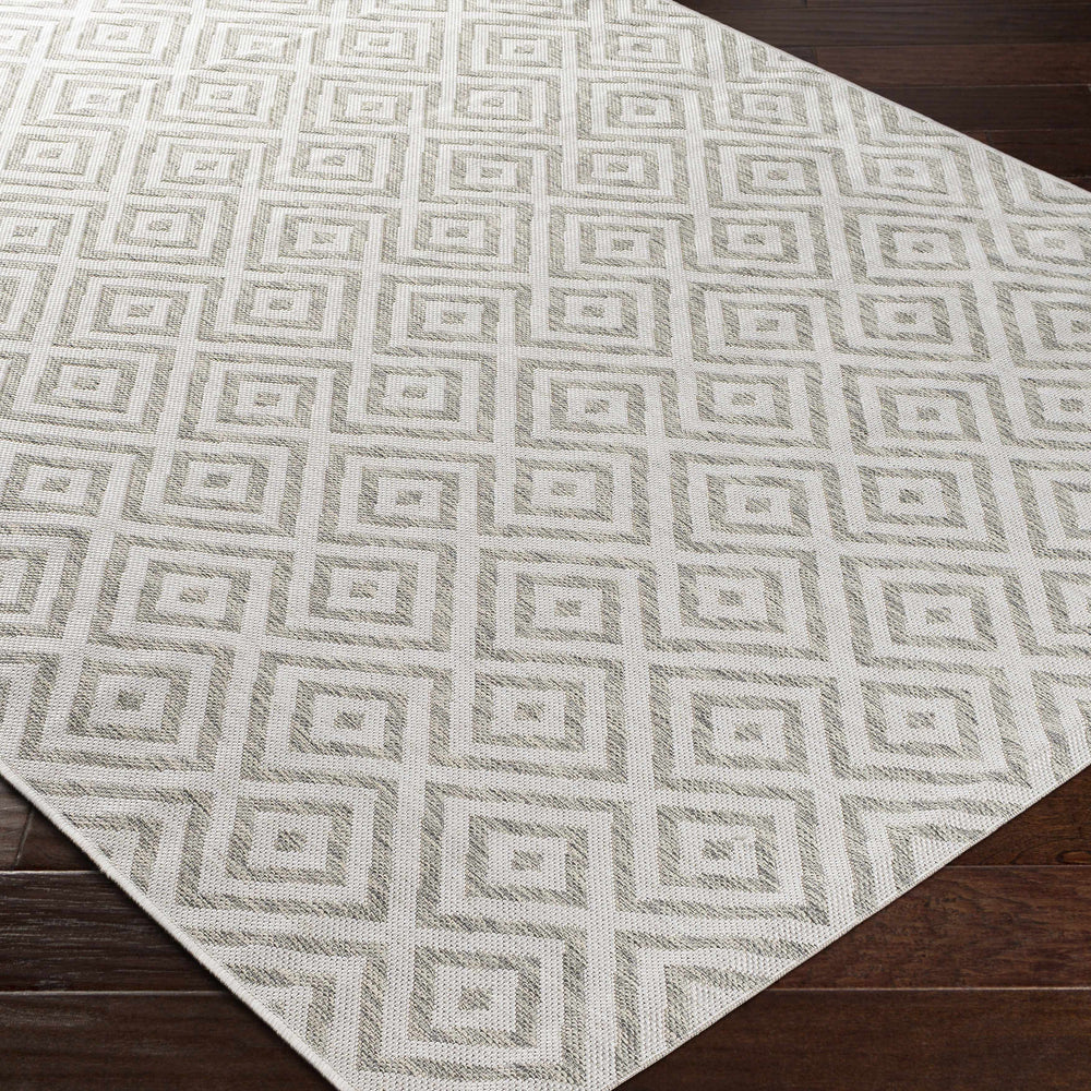 Silverstone Area Rug - Clearance