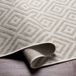 Silverstone Area Rug - Clearance