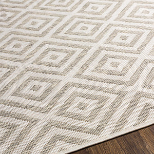 Silverstone Area Rug - Clearance
