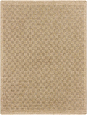 Jurek Beige Checkered Area Rug