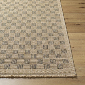 Jurek Beige & Brown Checkered Area Rug