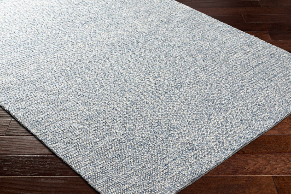 Alyra Light Blue Solid Area Rug - Clearance