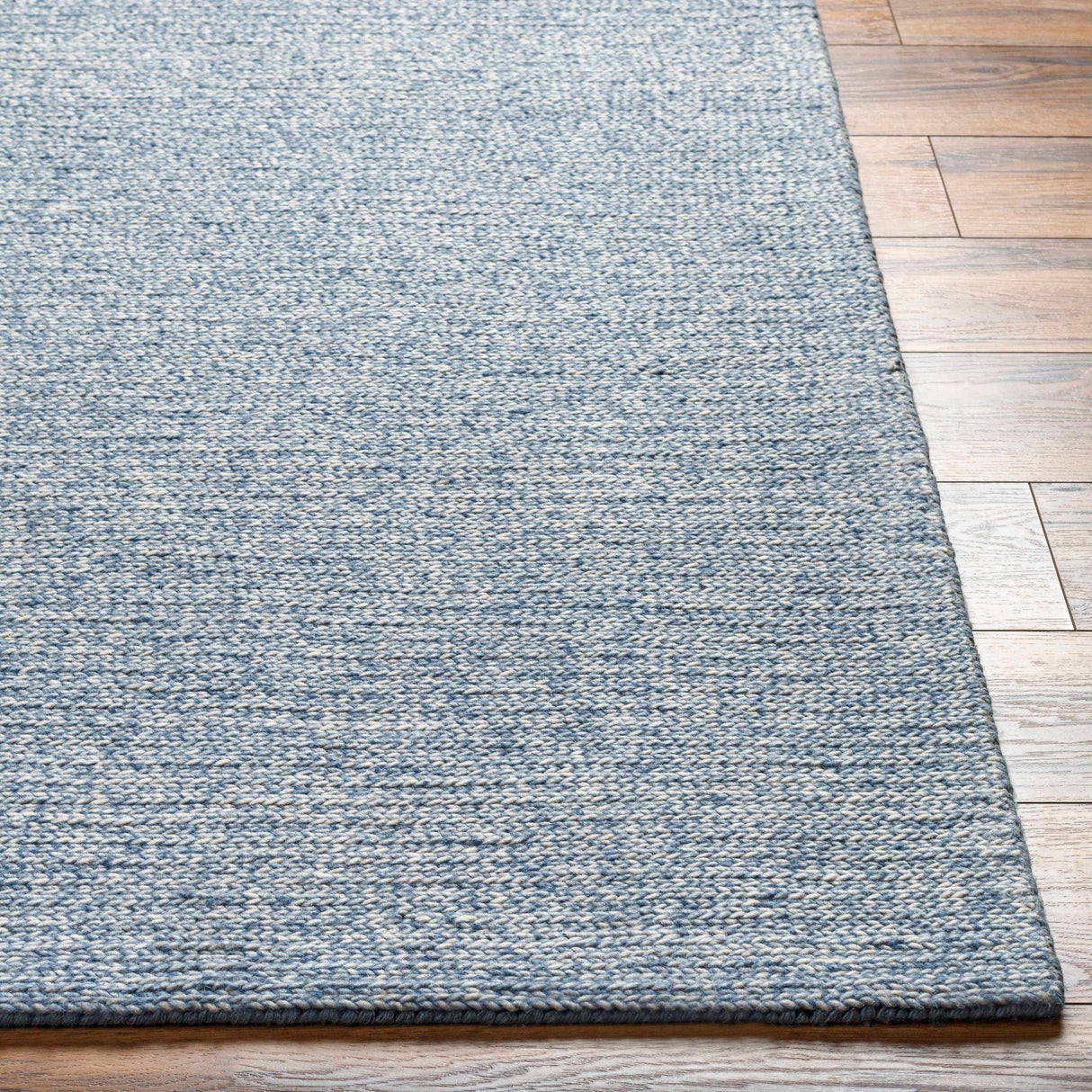 Alyra Light Blue Solid Area Rug - Clearance