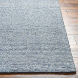 Alyra Light Blue Solid Area Rug - Clearance