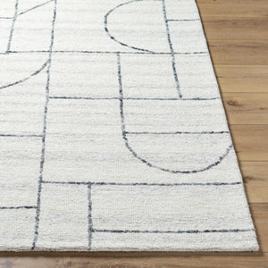 Sanaz Charcoal Area Rug - Clearance