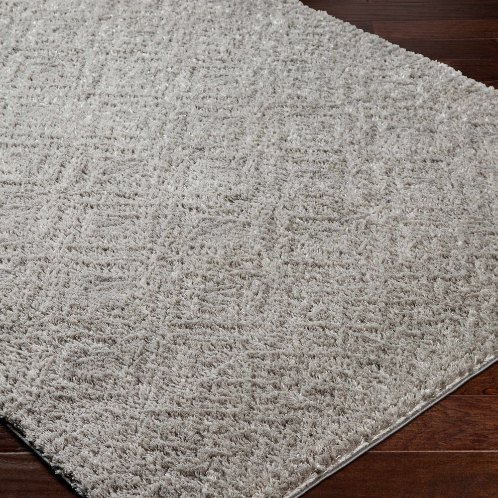 Amnon Area Rug