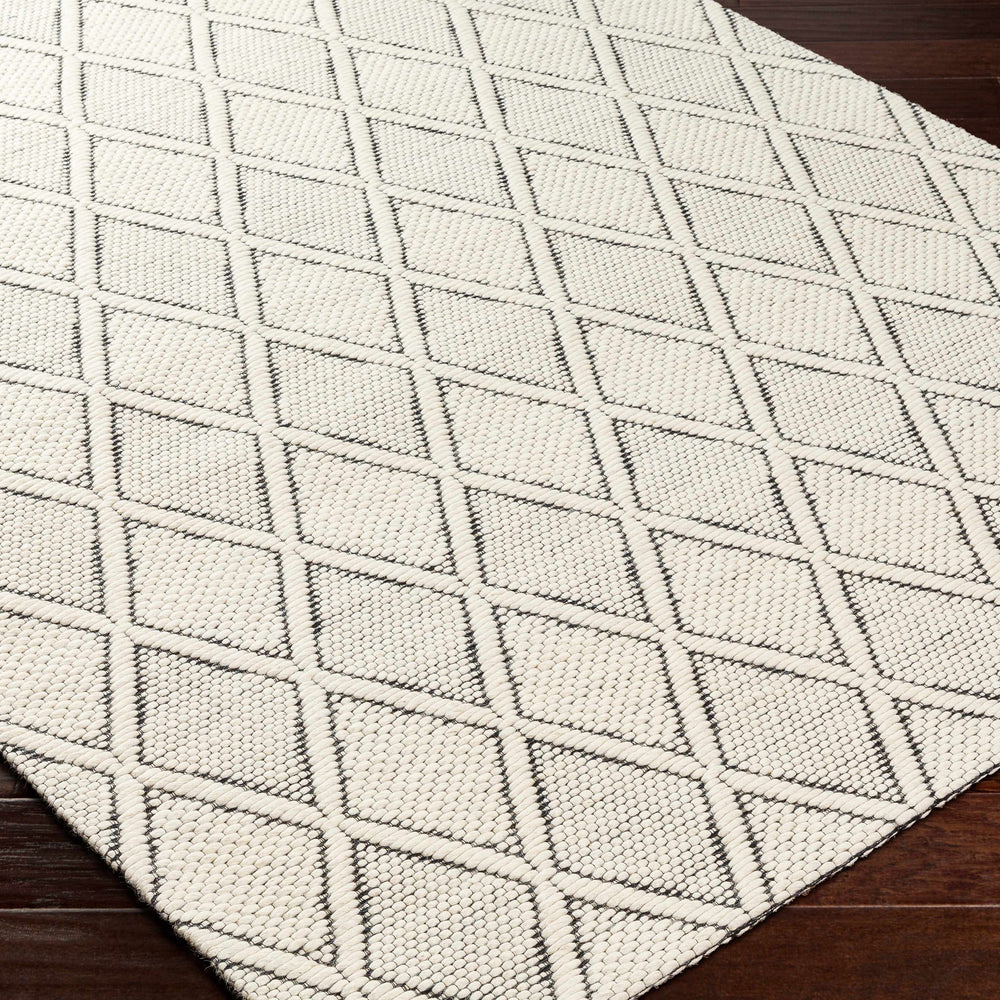 Aeron Area Rug - Clearance
