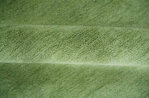 Solid Green Woolen Hand Tufted contemporary 8x10 wool Rug