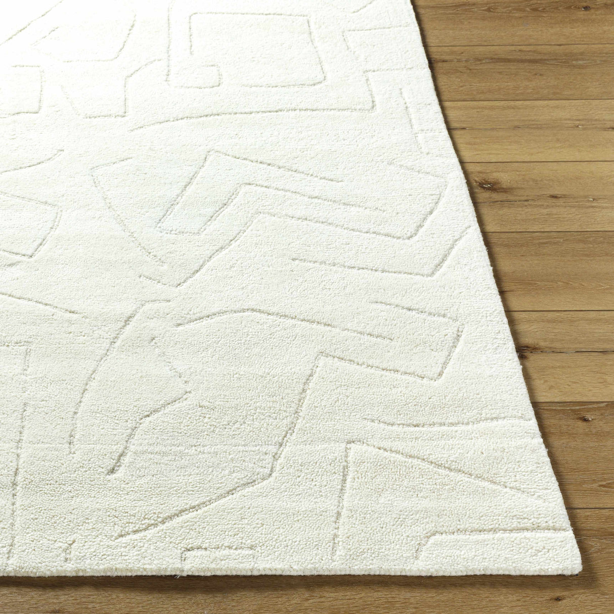 Mony Ivory Area Rug - Clearance