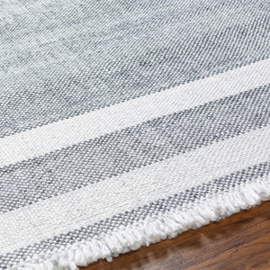 Loic Gray Area Rug