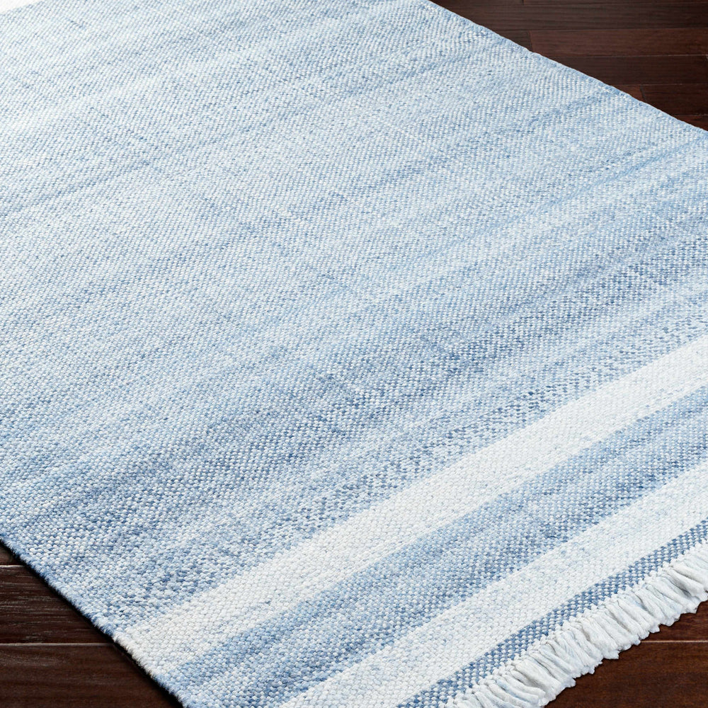 Loic Silver Blue Area Rug
