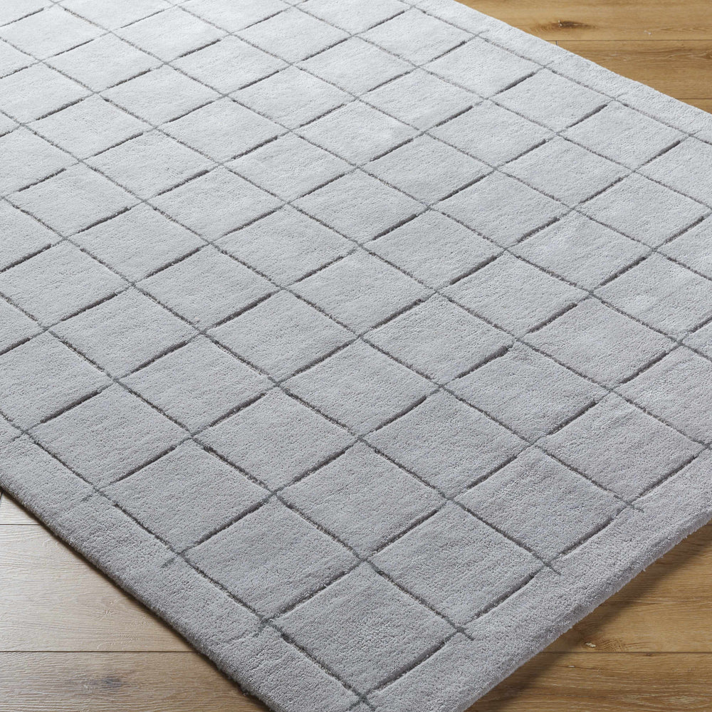 Sanvi Gray Area Rug