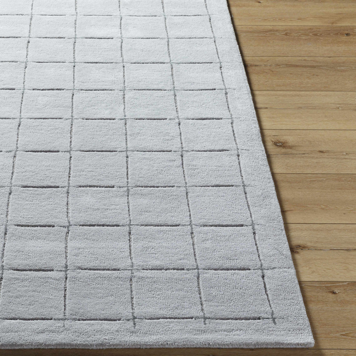 Sanvi Gray Area Rug