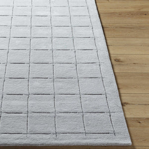 Sanvi Gray Area Rug