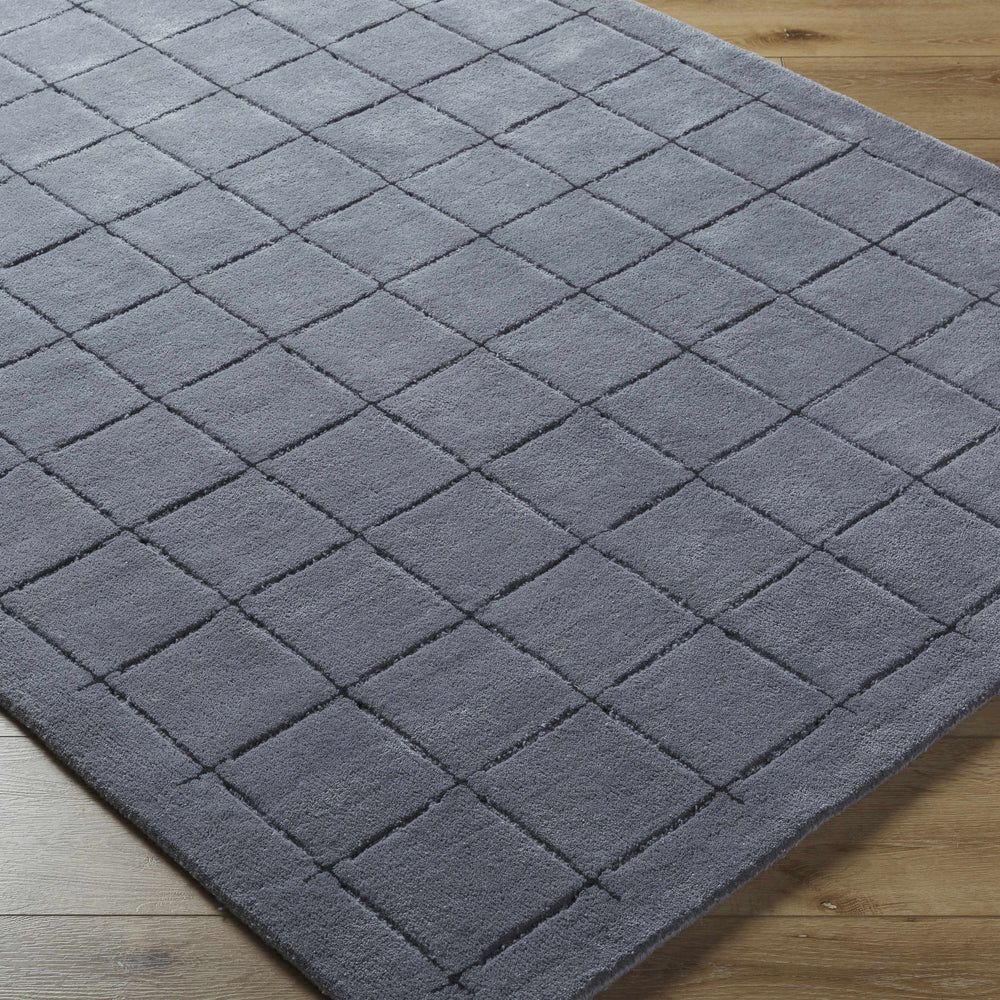 Sanvi Charcoal Area Rug