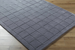 Sanvi Charcoal Area Rug