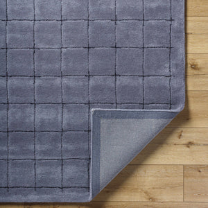 Sanvi Charcoal Area Rug