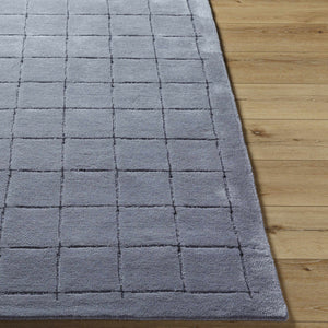 Sanvi Charcoal Area Rug