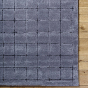 Sanvi Charcoal Area Rug