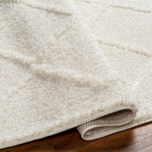 Daube Area Rug - Clearance