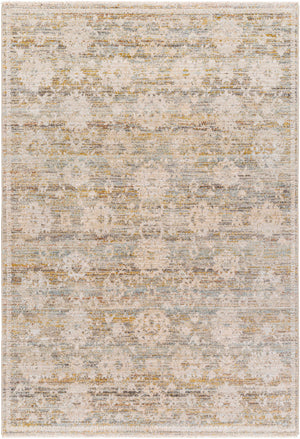 Itzel Area Rug - Clearance