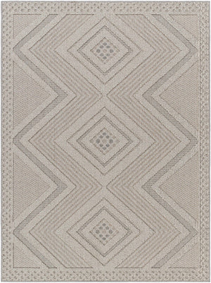 Aimee Natural Gray Area Rug - Clearance