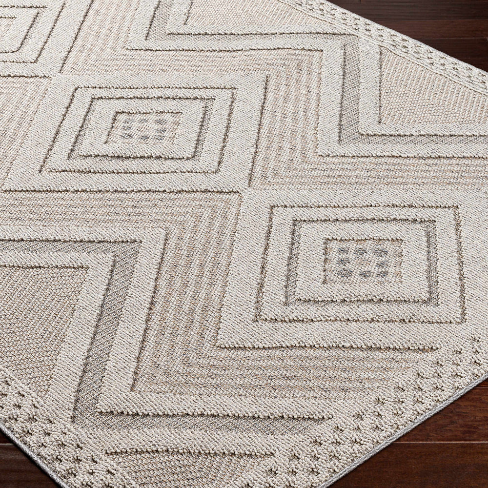 Aimee Natural Gray Area Rug - Clearance