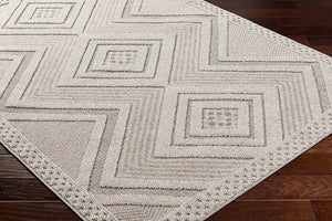 Aimee Natural Gray Area Rug - Clearance