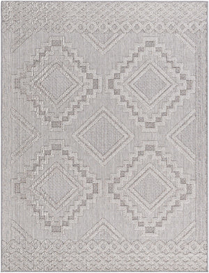 Arwid Light Gray Area Rug