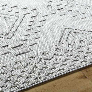 Arwid Light Gray Area Rug