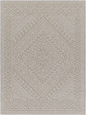 Hibah Natural Gray Area Rug - Clearance