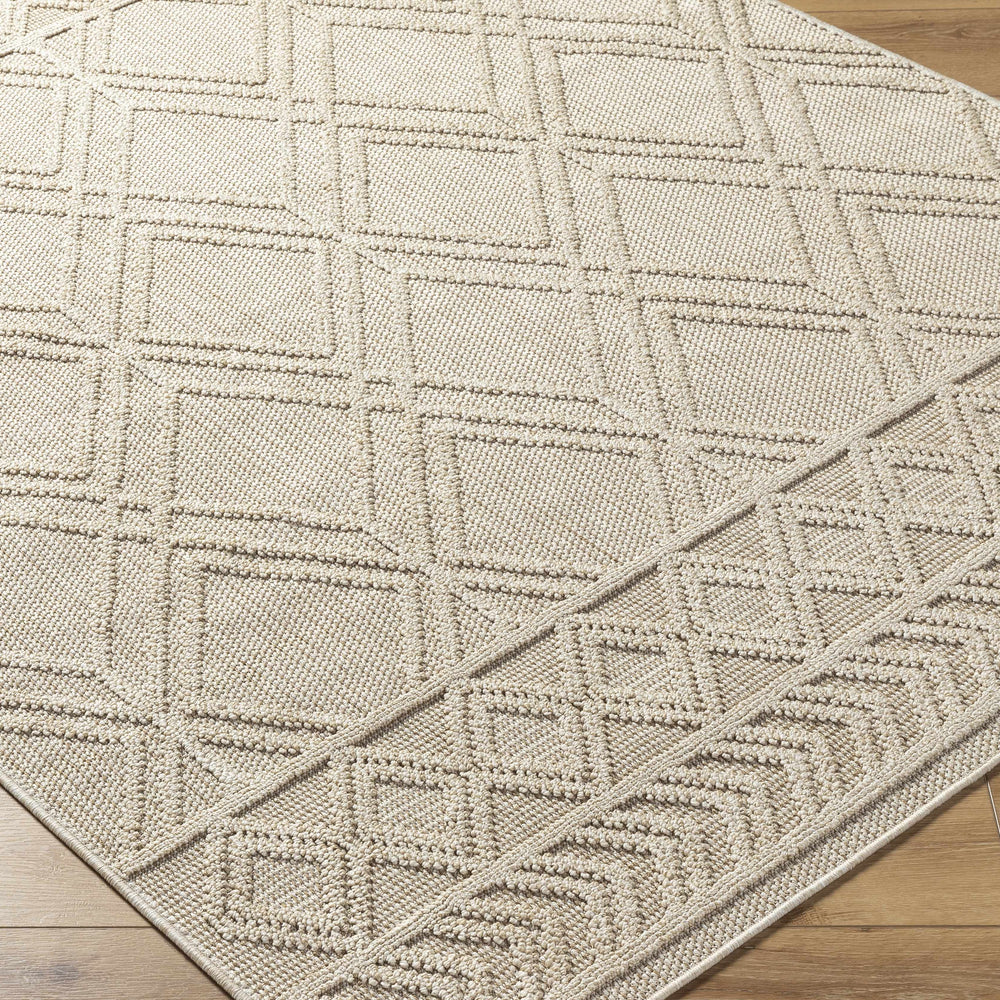 Hoang Area Rug