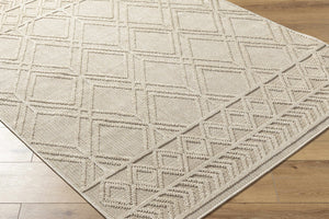Hoang Area Rug
