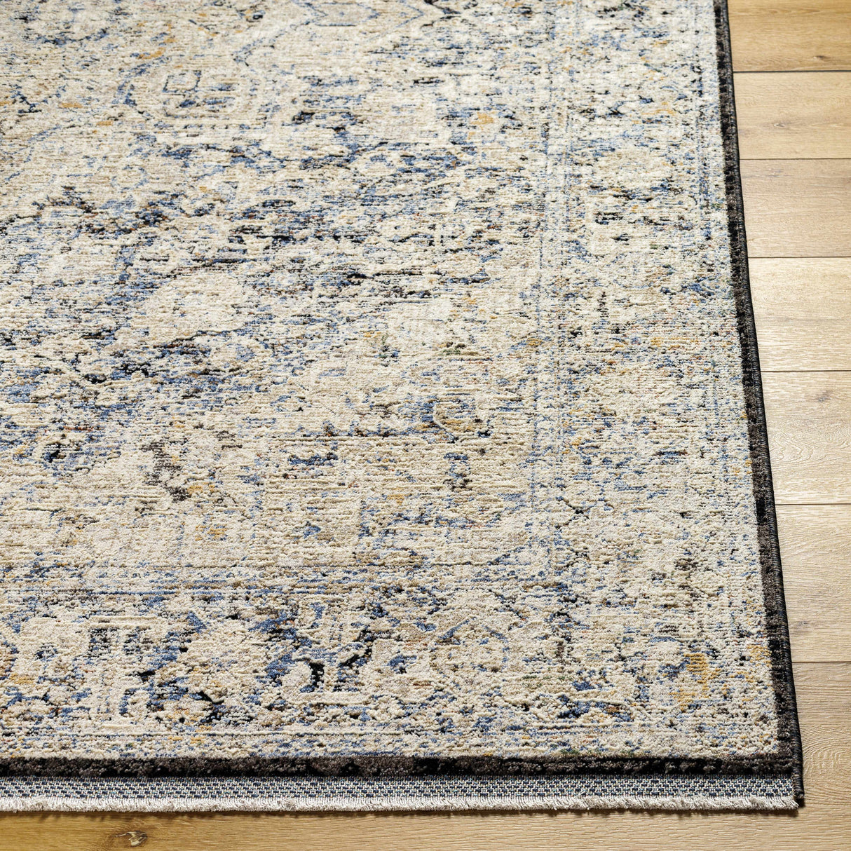Charo Light Gray Area Rug