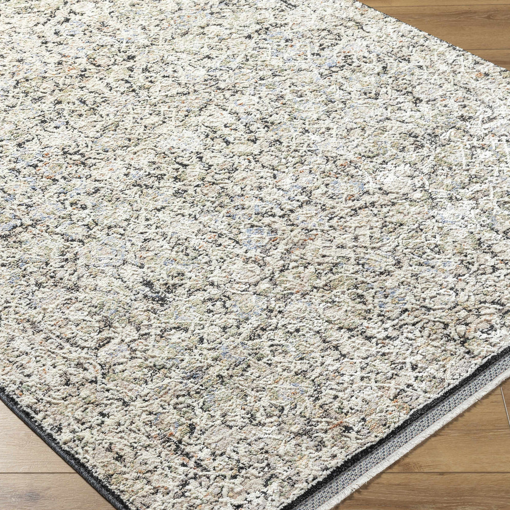 Haran Cloud Gray Area Rug