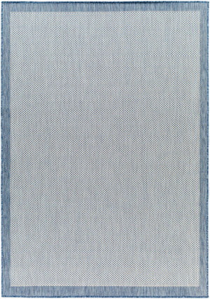 Aleid Blue Outdoor Area Rug - Clearance