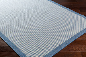 Aleid Blue Outdoor Area Rug - Clearance