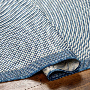 Aleid Blue Outdoor Area Rug - Clearance