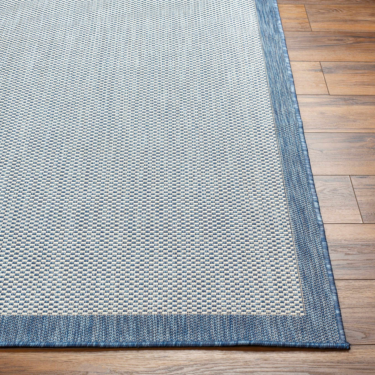 Aleid Blue Outdoor Area Rug - Clearance