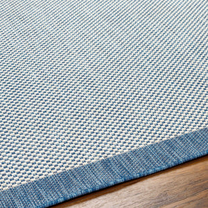 Aleid Blue Outdoor Area Rug - Clearance