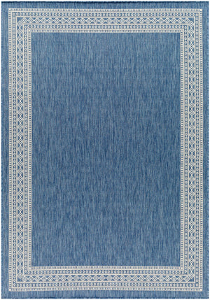 Aleli Blue Outdoor Area Rug - Clearance