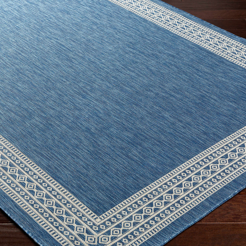 Aleli Blue Outdoor Area Rug - Clearance