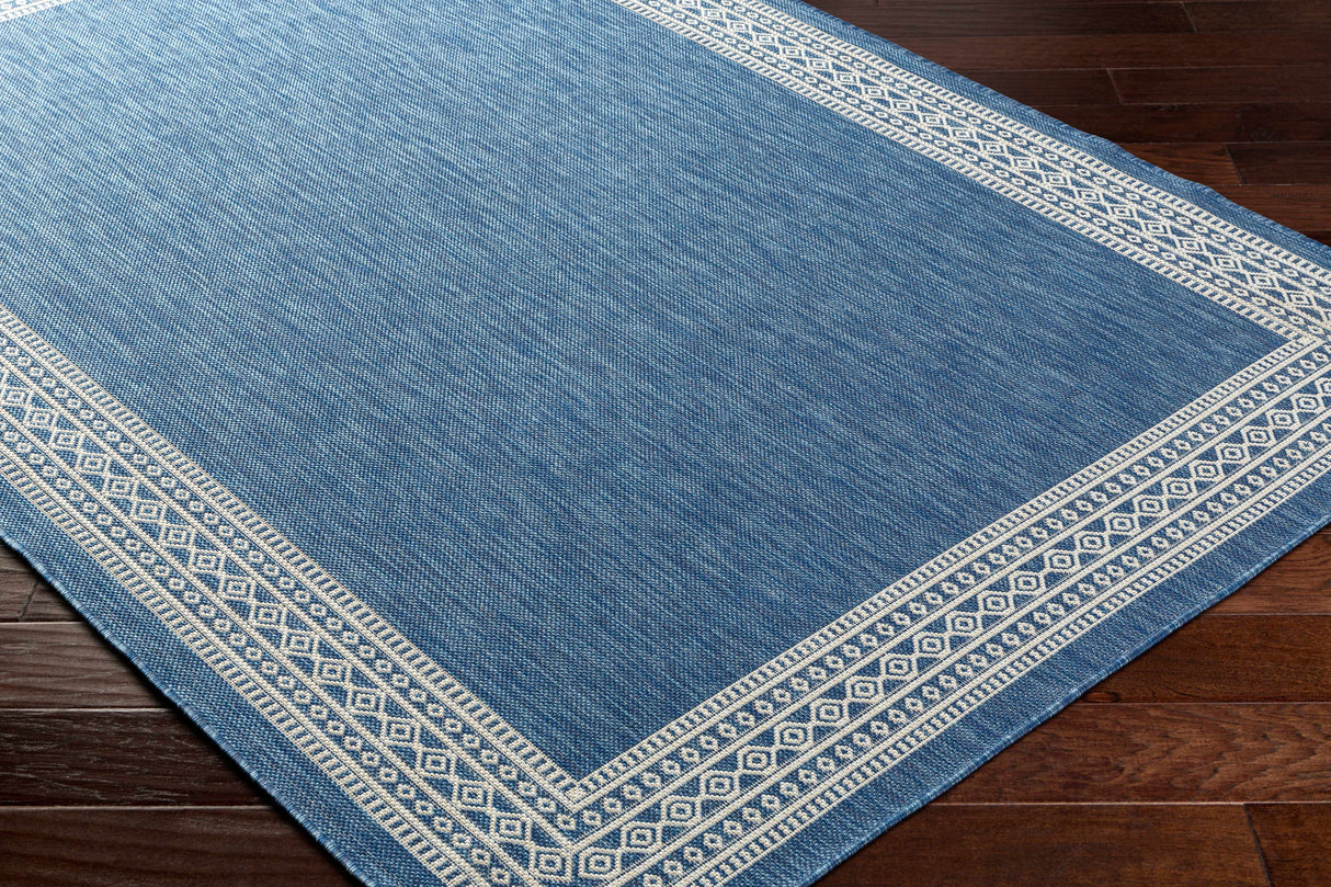Aleli Blue Outdoor Area Rug - Clearance