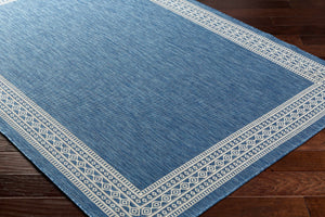 Aleli Blue Outdoor Area Rug - Clearance