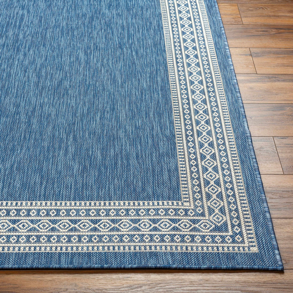 Aleli Blue Outdoor Area Rug - Clearance