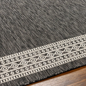 Aleli Black & White Area Rug - Promo